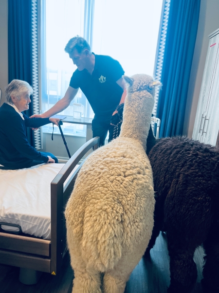 山巔處方簽：歐陸銀髮藝療曲— 探尋歐洲高齡藝術節與高齡介入機構的全景式探索｜鍾婕安｜國藝會補助成果檔案庫